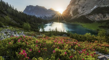 re-connect with nature